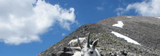 Mountain Goat Mountain