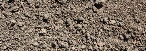 DiRT