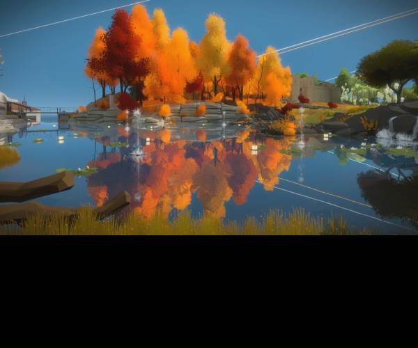 The Witness