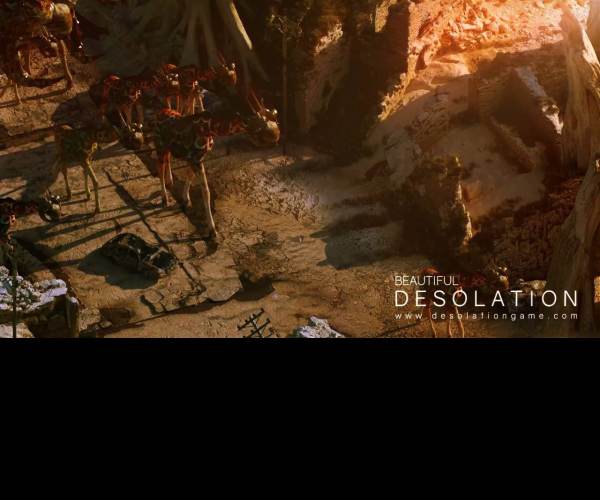 BEAUTIFUL DESOLATION