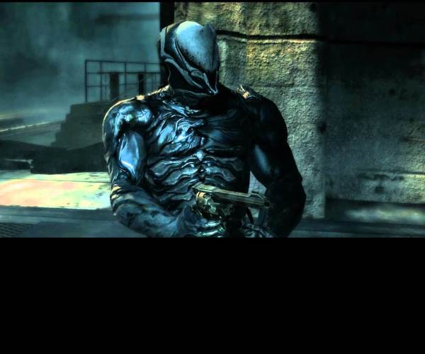 Dark Sector