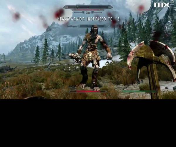The Elder Scrolls V: Skyrim