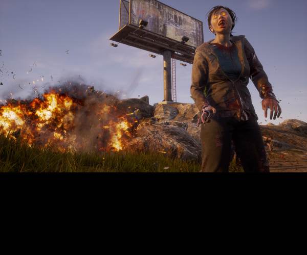 State of Decay