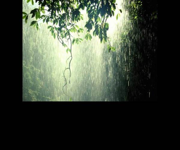 Rain