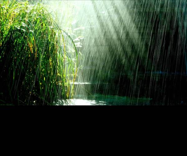 Rain