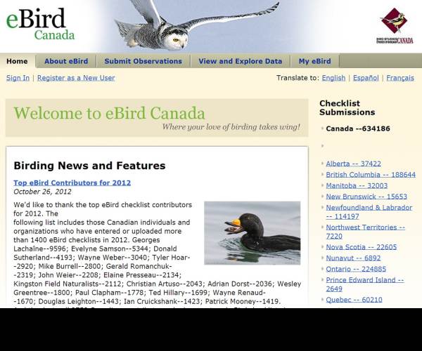 E-Brid