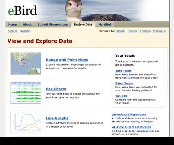 E-Brid