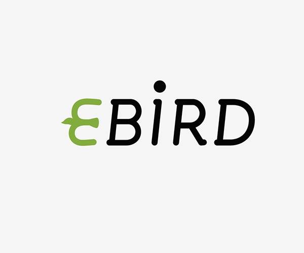 E-Brid