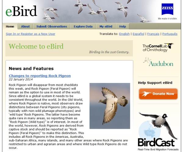 E-Brid