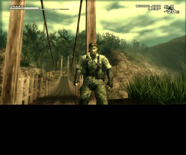 Metal Gear Solid 3: Subsistence