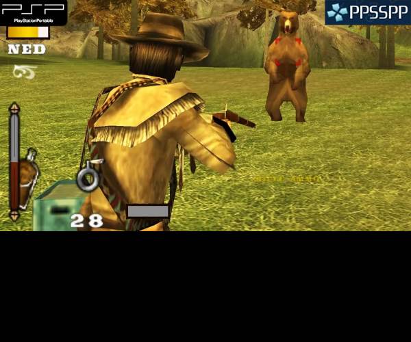 Gun Showdown