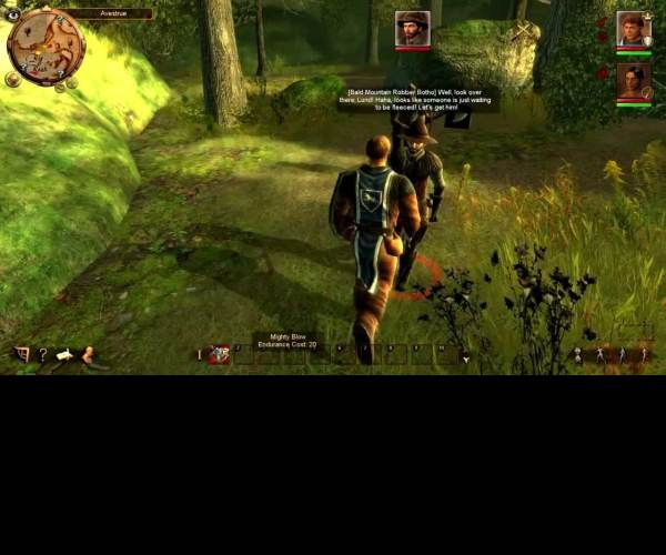 Drakensang: The Dark Eye