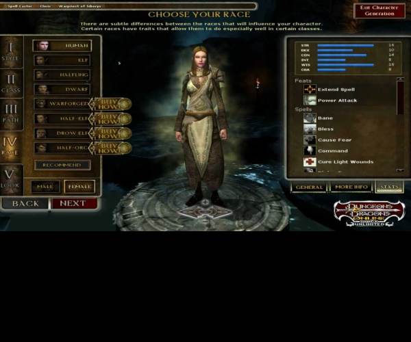 Dungeons & Dragons Online
