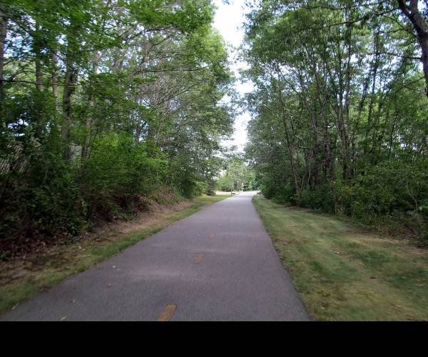 The Path