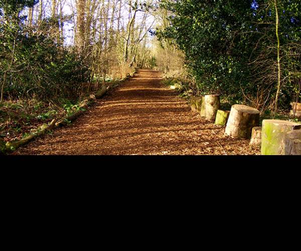 The Path