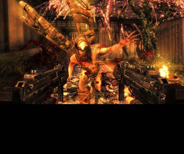 Shadow Warrior (2013)