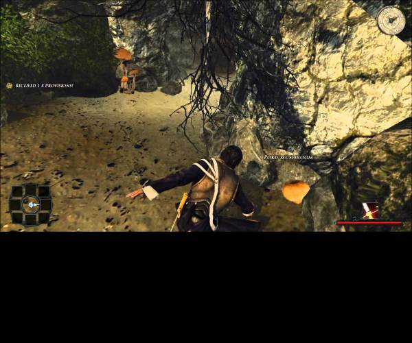 Risen 2: Dark Waters
