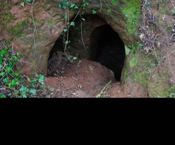The Cave