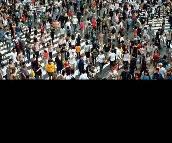 Crowd City