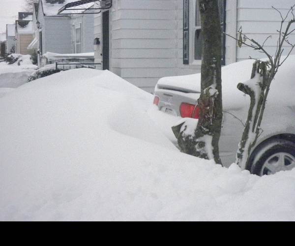 Snow Drift!