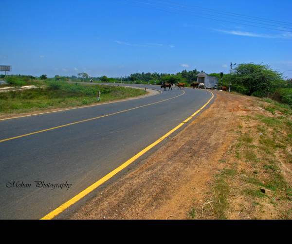 Clean Road
