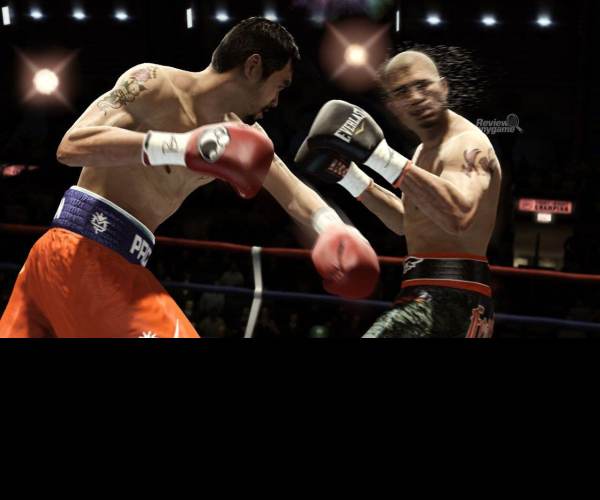 Fight Night Champion (X360)