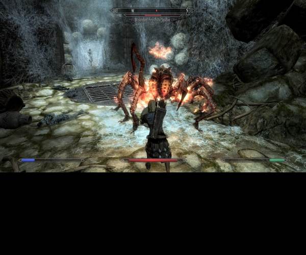 The Elder Scrolls V: Skyrim