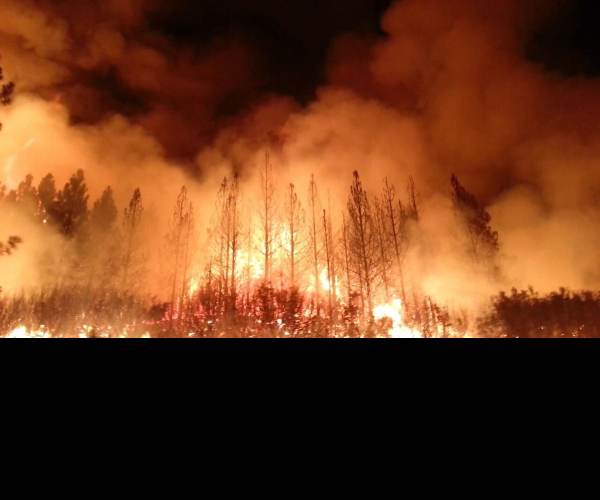 Wildfire