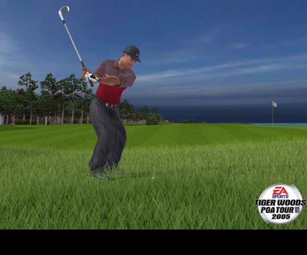Tiger Woods PGA Tour 2005