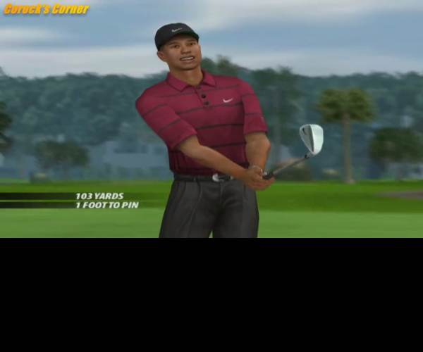 Tiger Woods PGA Tour 2005