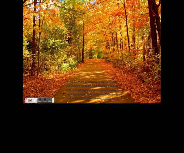 Road Not Taken