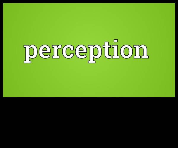 Perception