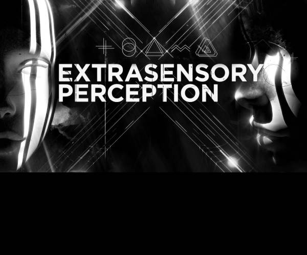 Perception