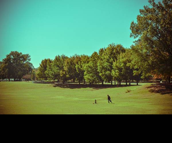 The Park