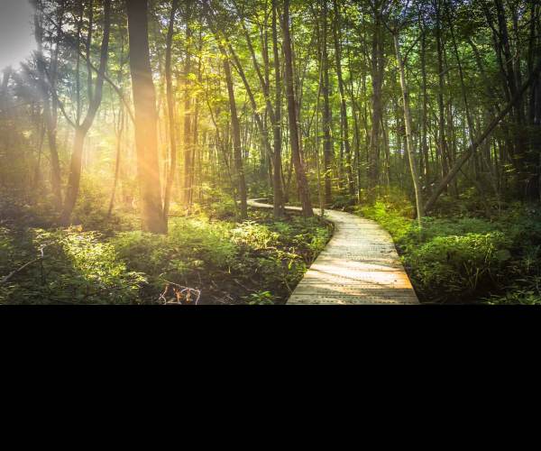 Pathway