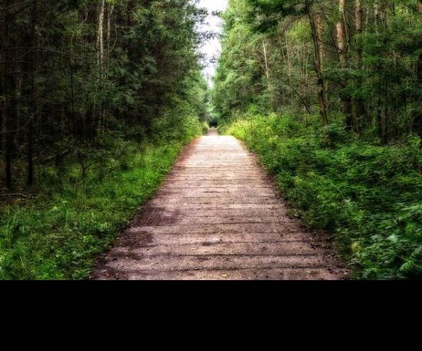 Pathway
