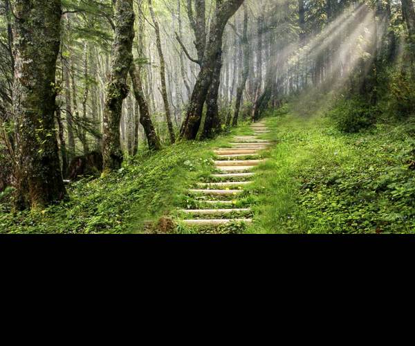 Pathway