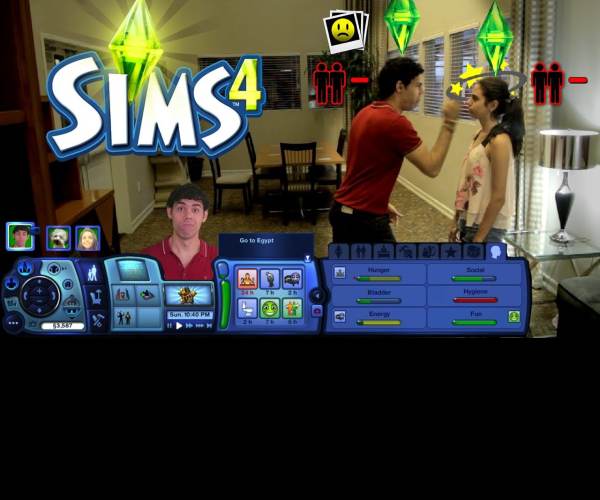 The Sims