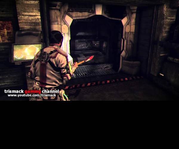Afterfall: Insanity