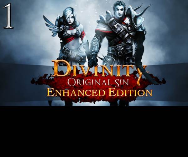 Divinity: Original Sin - Enhanced Edition