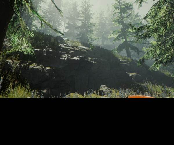 The Forest