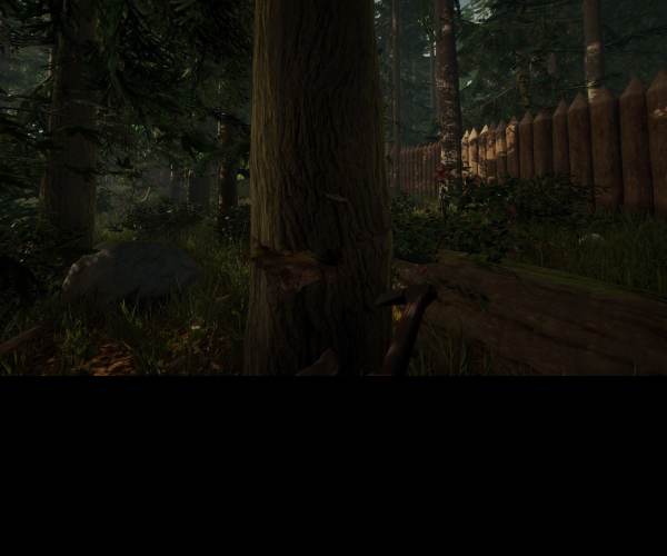 The Forest