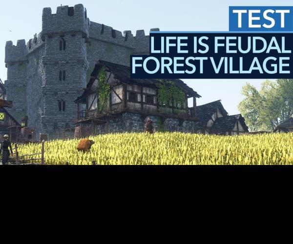 Life is Feudal: Forest Village