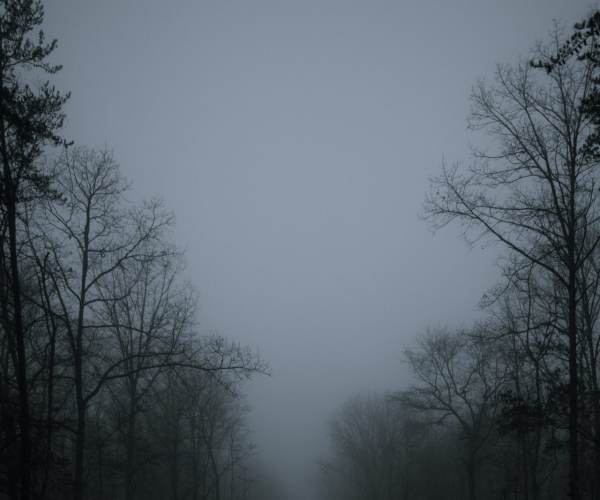 Dark