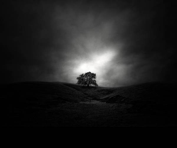 Dark