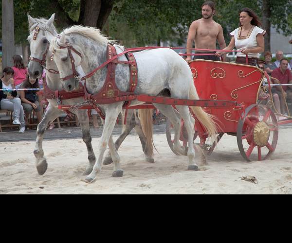 Chariot