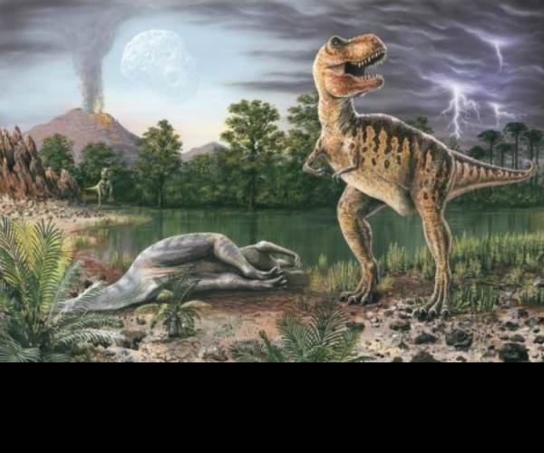 Extinction