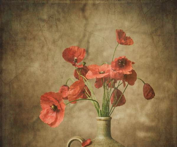 Still Life