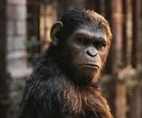 Planet of the Apes