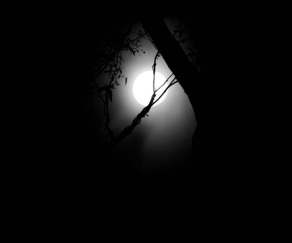 Dark Fear